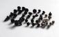 Preview: Screw set complete MacBook 15 inch A1398 Retina inner and outer sparepart second sight