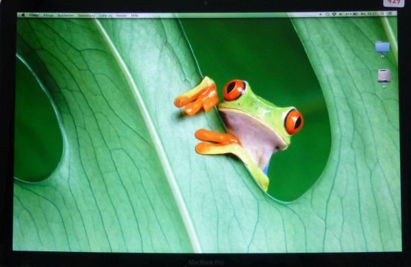 Display Assembly komplett HighResolution Glossy MacBook Pro 15 Zoll A1286 2011 Original Ersatzteil weiteres Detailbild