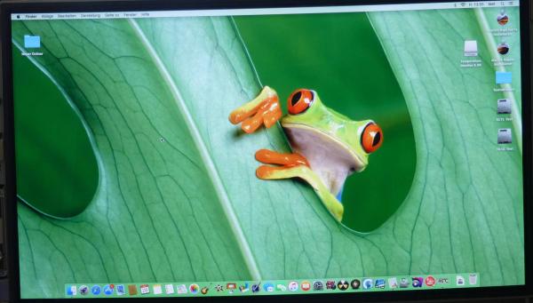 LCD Display Panel LM215WF3(SD)(C2) LG Original iMac 21 Zoll A1311 2011 Ersatzteil drittes Detail